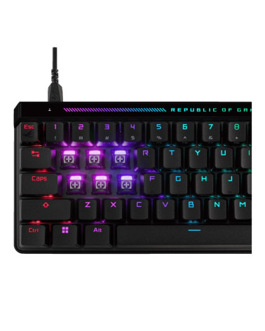 Клавиатура ASUS M605 ROG FALCHION ACE HFX ROG HFX PBT 65% USB 