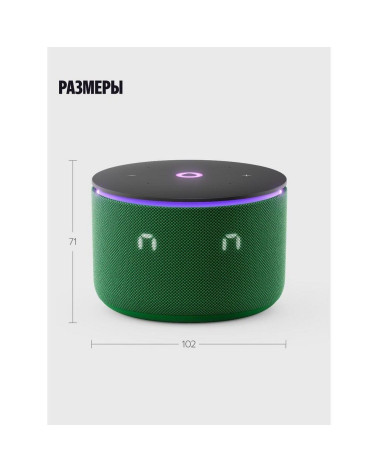 Умная колонка Яндекс Станция Мини 3 Про сАлисой, Zigbee, зеленый (YNDX-00059GRN)