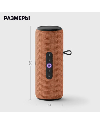 Портативная умная колонка Яндекс Станция Стрит с Алисой, 30 Вт,YNDX-00030ORG, оранжевый