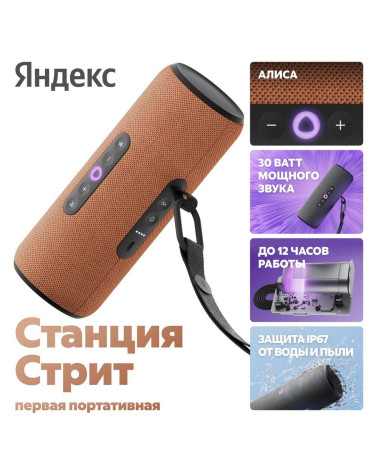 Портативная умная колонка Яндекс Станция Стрит с Алисой, 30 Вт,YNDX-00030ORG, оранжевый