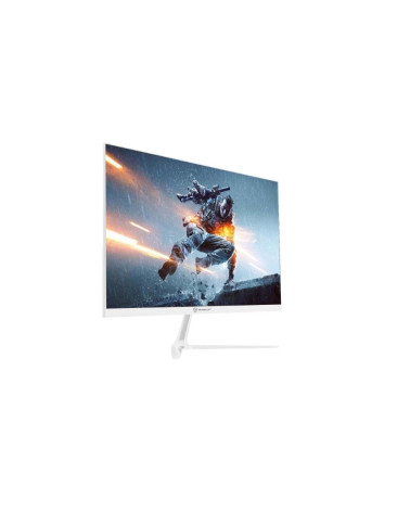 Монитор 23.8" Raskat I24F10DAW (23.8',IPS, 1920*1080, VGA+HDMI+DP, 5ms, 178°/178°, 1000:1, 100Hz, White) 