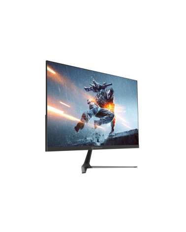 Монитор 23.8" Raskat I24F10DA (23.8", IPS, 1920*1080, VGA+HDMI+DP, 5ms, 178°/178°, 1000:1, 100Hz, Black) 