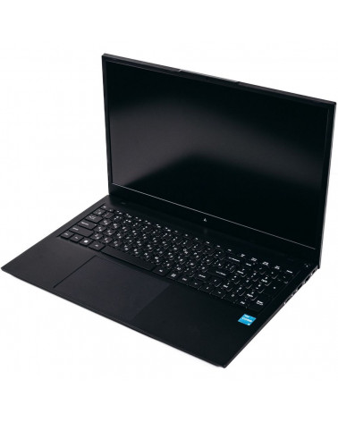 Ноутбук ACD 17S Intel Core i5-1235U/8Gb/SSD256Gb/17.3"/IPS/FHD/NoOS/black (AH17SI2286WB) 