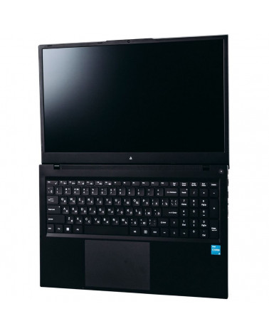 Ноутбук ACD 17S Intel Core i5-1235U/8Gb/SSD256Gb/17.3"/IPS/FHD/NoOS/black (AH17SI2286WB) 