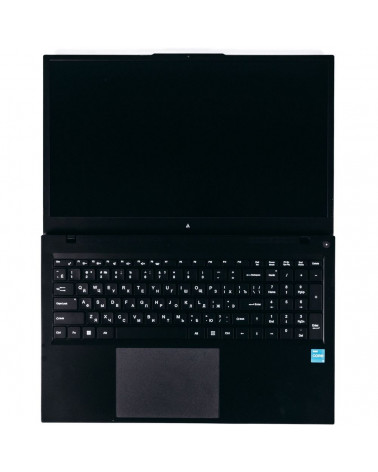 Ноутбук ACD 17S Intel Core i5-1235U/8Gb/SSD256Gb/17.3"/IPS/FHD/NoOS/black (AH17SI2286WB) 