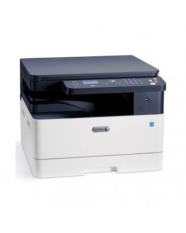 Xerox B1022DN (МФУ лазерный 22 коп/мин, 600 dpi, 256Mb, USB 2.0, сеть, крышка, дуплекс 