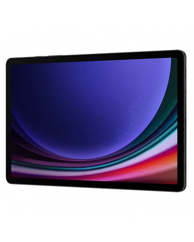 ПланшетSamsung Galaxy Tab S9 11" SM-X716B 8+128Gb графит  (SM-X716BZAACAU)