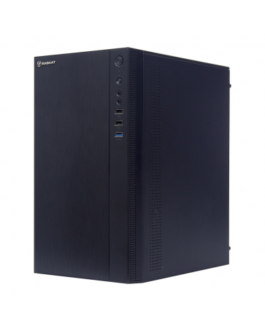 Компьютер Raskat STANDART 310 (Intel Core i3-9100F, Intel H310, RAM 8GB, SSD 256GB, NVIDIA GT 210 1GB, 500W, noOS) 