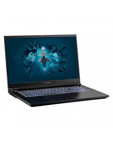 Ноутбук Colorful X17 Pro Max Intel Core i7-13700HX/32Gb/SSD1Tb/RTX4080 12Gb/17.3"/IPS/QHD/165Hz/NoOS/Black (X17 Pro Max)