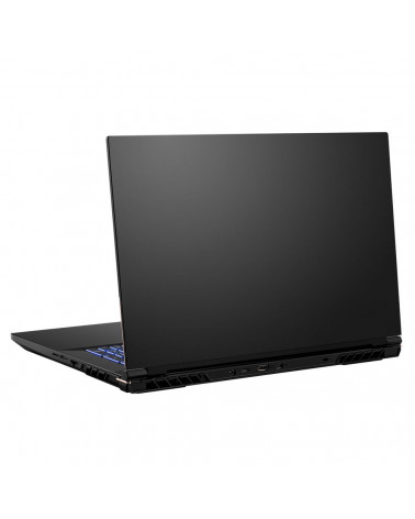 Ноутбук Colorful X17 Pro Max Intel Core i7-13700HX/32Gb/SSD1Tb/RTX4080 12Gb/17.3"/IPS/QHD/165Hz/NoOS/Black (X17 Pro Max)