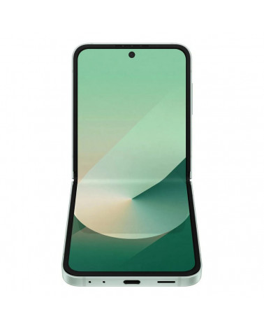 Смартфон Samsung Galaxy Z Flip 6 5G SM-F741B 12+256Gb мятный (SM-F741BLGGCAU)