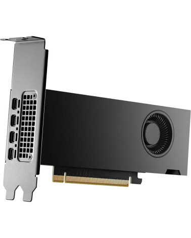 Видеокарта NVIDIA RTX 2000 ADA Graphics Cards, 16GB GDDR6 (ATX inst, LP incl), bulk
