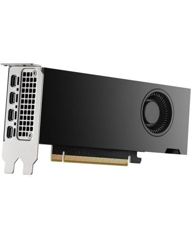 Видеокарта NVIDIA RTX 2000 ADA Graphics Cards, 16GB GDDR6 (ATX inst, LP incl), bulk