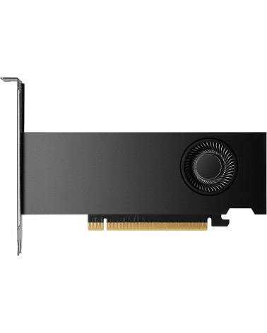 Видеокарта NVIDIA RTX 2000 ADA Graphics Cards, 16GB GDDR6 (ATX inst, LP incl), bulk