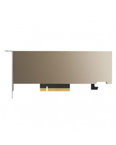 Графический процессор NVIDIA Tesla A2 with accessory 16GB, ATX installed, LP included), Bulk Packing 