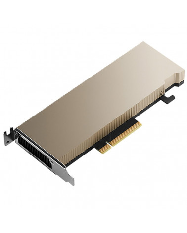 Графический процессор NVIDIA Tesla A2 with accessory 16GB, ATX installed, LP included), Bulk Packing 