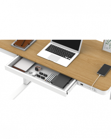 TableSage ET119W-C /Цвет белый, столешница клен/ Стол с электрической регулировкой высоты , 1204-604мм