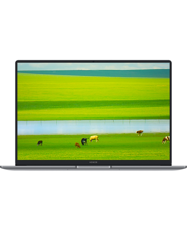 Ноутбук HONOR MagicBook X14 Plus Intel Core 5 220H/16Gb (soldered D4)/SSD1Tb/UMA/14"/IPS/2.8K/2880x1800/120Hz/Win11/Grey/1.34kg