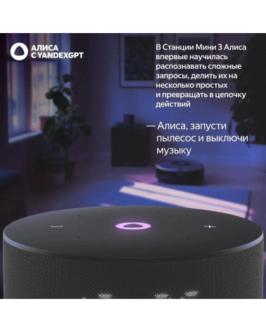 Умная колонка  Яндекс Станция Мини 3, модель YNDX-00027 (чёрный)