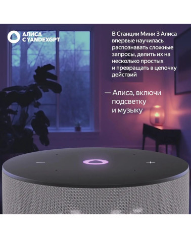 Умная колонка Яндекс Станция Мини 3, модель YNDX-00027 (серый)