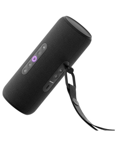 Портативная умная колонка Яндекс Станция Стрит с Алисой, 30 Вт, YNDX-00030BLK , чёрный