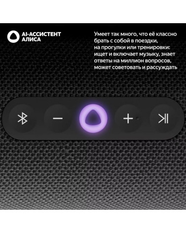 Портативная умная колонка Яндекс Станция Стрит с Алисой, 30 Вт, YNDX-00030BLK , чёрный