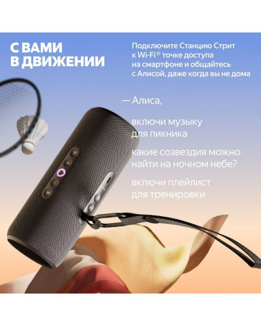 Портативная умная колонка Яндекс Станция Стрит с Алисой, 30 Вт, YNDX-00030BLK , чёрный
