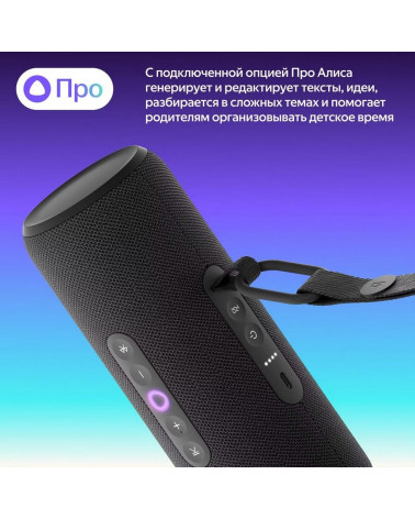 Портативная умная колонка Яндекс Станция Стрит с Алисой, 30 Вт, YNDX-00030BLK , чёрный