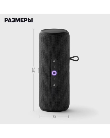 Портативная умная колонка Яндекс Станция Стрит с Алисой, 30 Вт, YNDX-00030BLK , чёрный