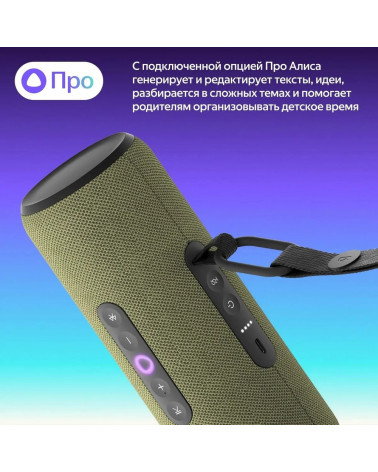 Портативная умная колонка Яндекс Станция Стрит с Алисой, 30 Вт,YNDX-00030GRN , зелёный