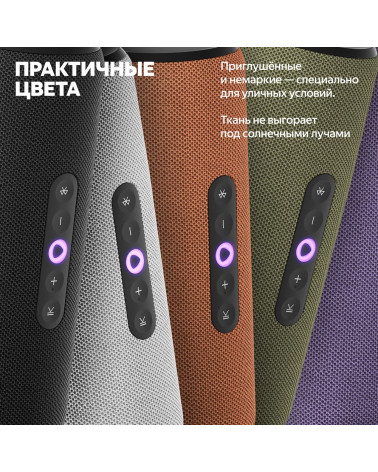Портативная умная колонка Яндекс Станция Стрит с Алисой, 30 Вт,YNDX-00030GRY , серый