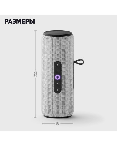 Портативная умная колонка Яндекс Станция Стрит с Алисой, 30 Вт,YNDX-00030GRY , серый