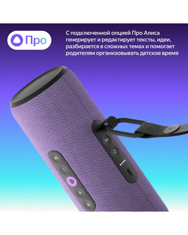 Портативная умная колонка Яндекс Станция Стрит с Алисой, 30 Вт,YNDX-00030VIO , фиолетовый