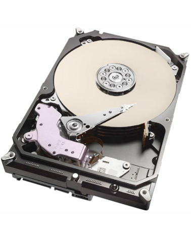 Жесткий диск серверный Seagate Exos 7E10 ST10000NM017B 10TB 3.5" SATA 6Gb/s, 7200rpm, 256MB, 512e/4Kn, Bulk (906831) (022187) 