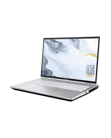 Ноутбук Colorful X16 Pro-HP56A16512S-W-C2A Intel Core i5-14450HX/16Gb (1*16 D5)/SSD512Gb/RTX5060 (115W) 8Gb/16"/IPS/WQXGA/2560x1