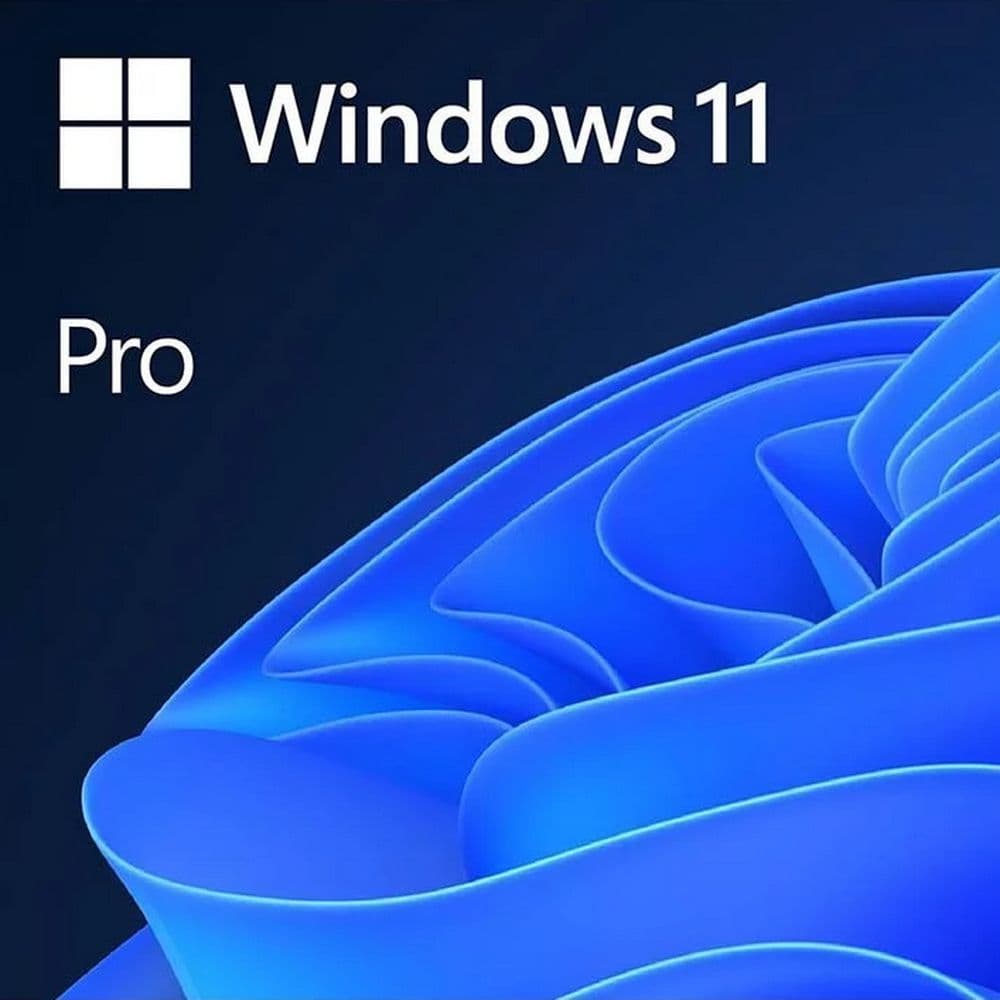Операционная система Microsoft Windows 11 Professional FPP (BOX) 64-bit English Int 1 License non-EU/EFTA USB Flash Drive (HAV-00164)